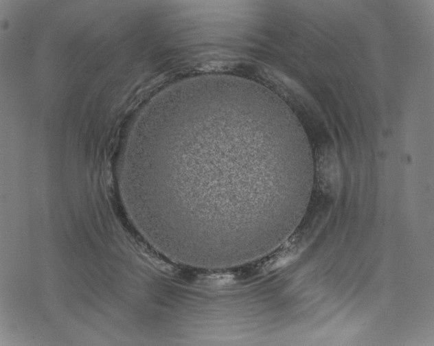 X0000076270554200610051313