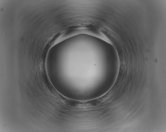 X0000076270556200610051313