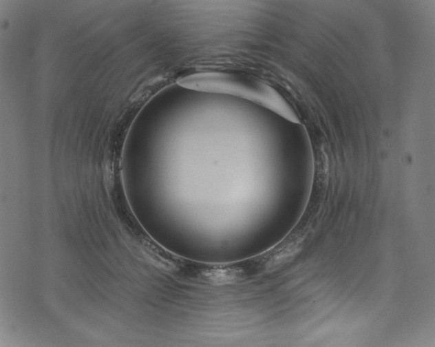 X0000076270558200610051313