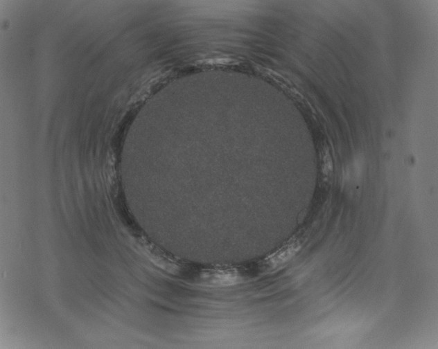 X0000076270559200610051313