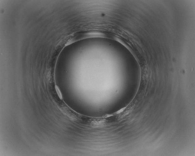 X0000076270560200610051313