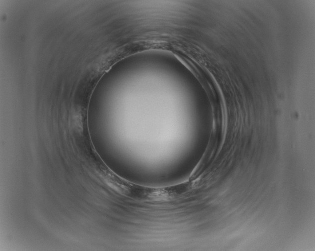 X0000076270562200610051313