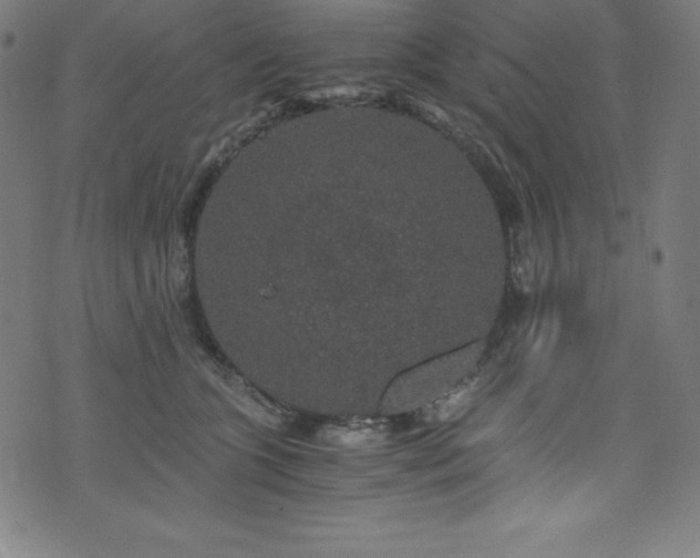 X0000076270563200610051313