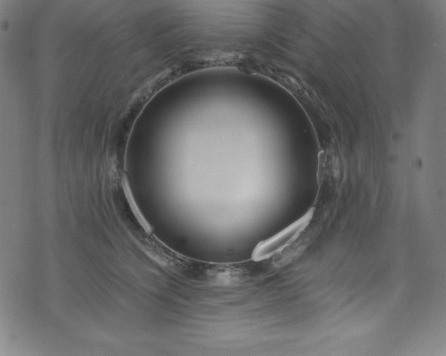 X0000076270564200610051313