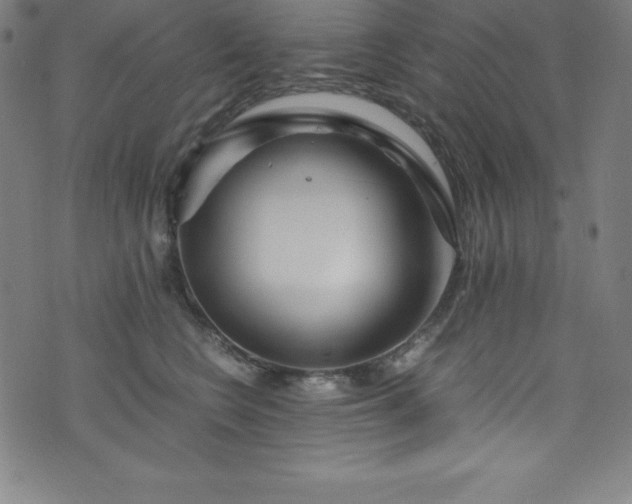 X0000076270566200610051313