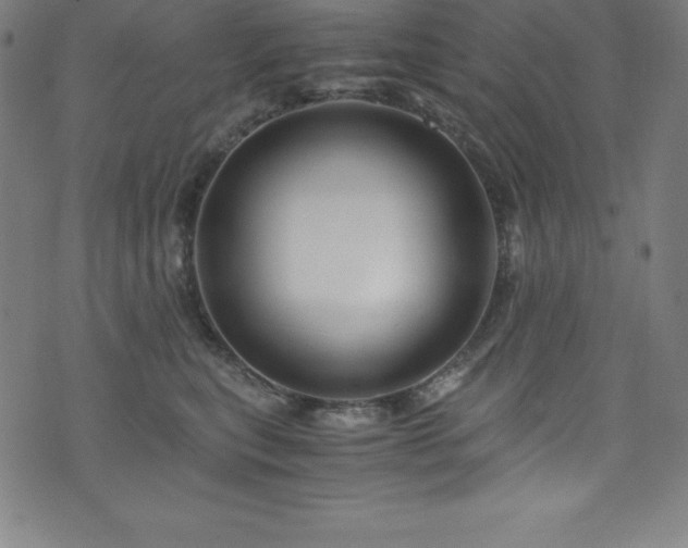 X0000076270567200610051313