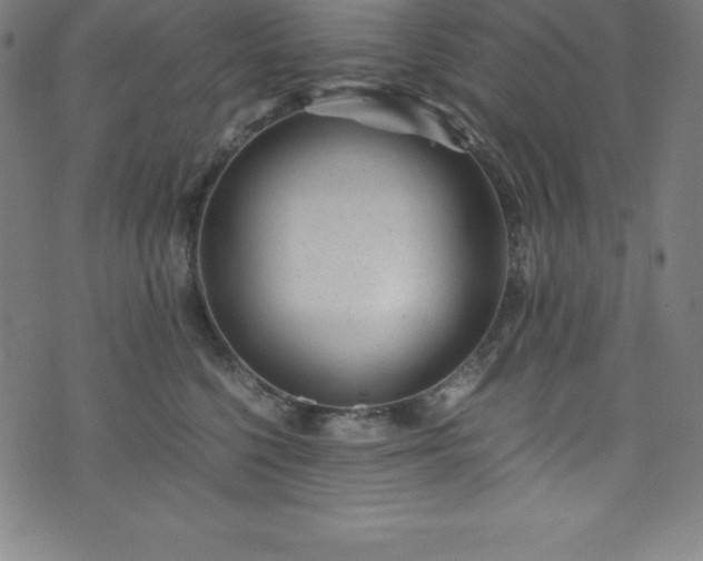 X0000076270568200610051313