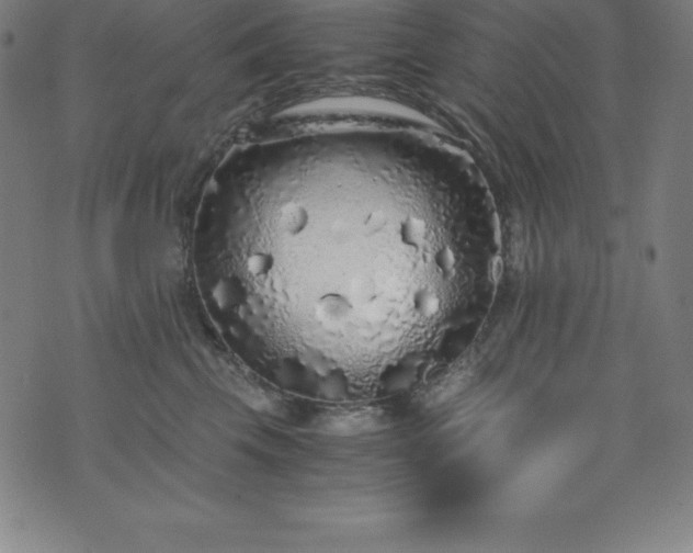 X0000076270569200610051313