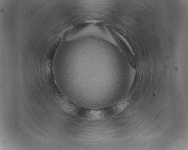 X0000076270570200610051314