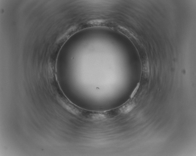 X0000076270572200610051314