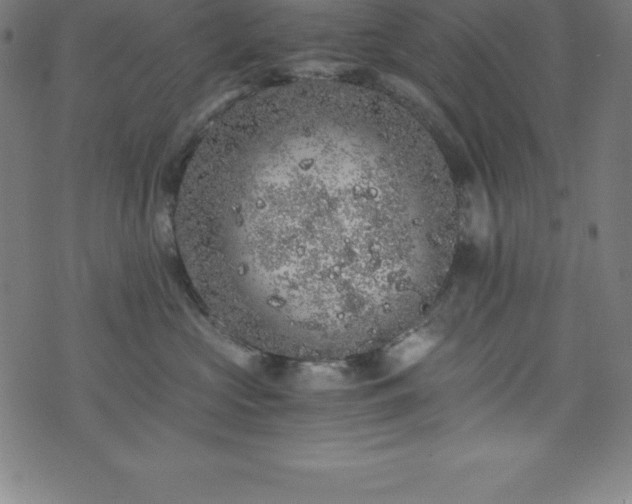 X0000076270573200610051314