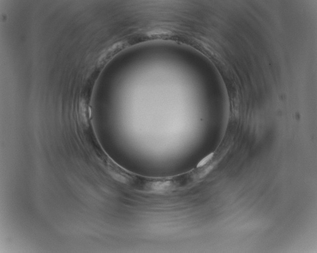 X0000076270575200610051314