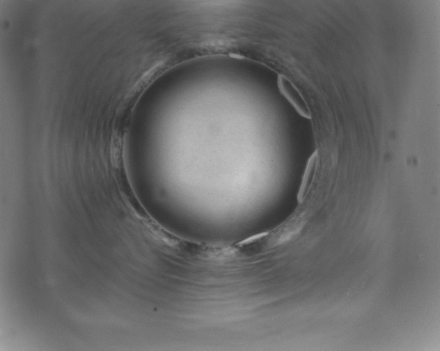 X0000076270576200610051314