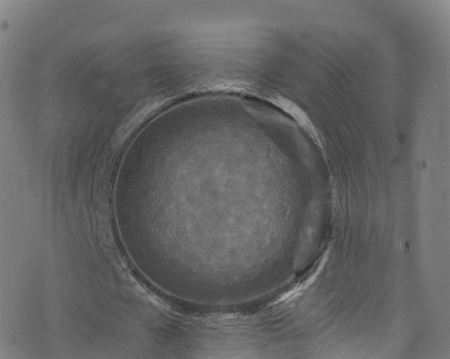 X0000076270577200610051313