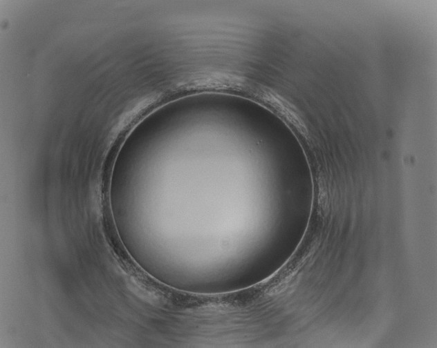 X0000076270578200610051313