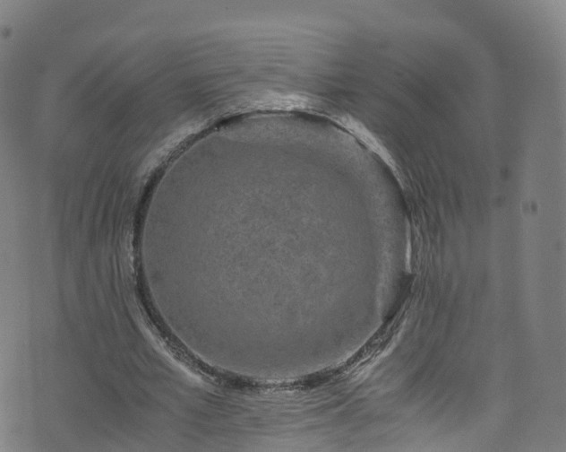 X0000076270581200610051313