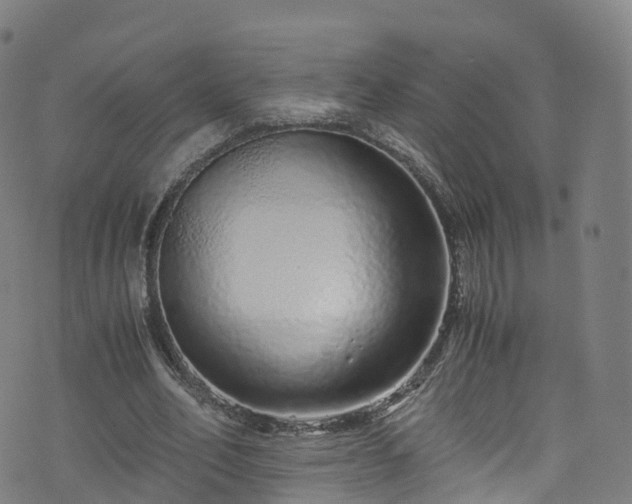 X0000076270582200610051313