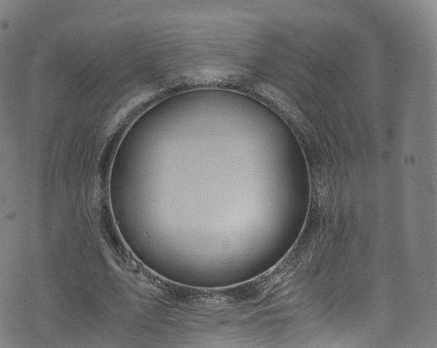 X0000076270583200610051313