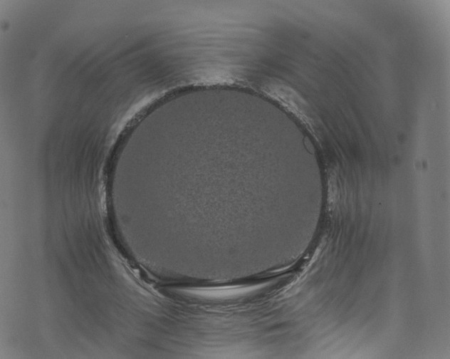 X0000076270584200610051313