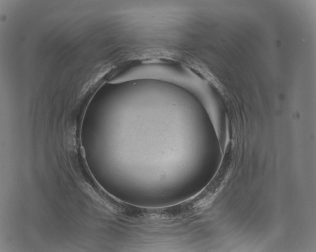 X0000076270585200610051313