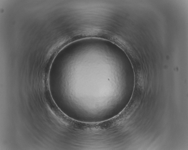 X0000076270586200610051313