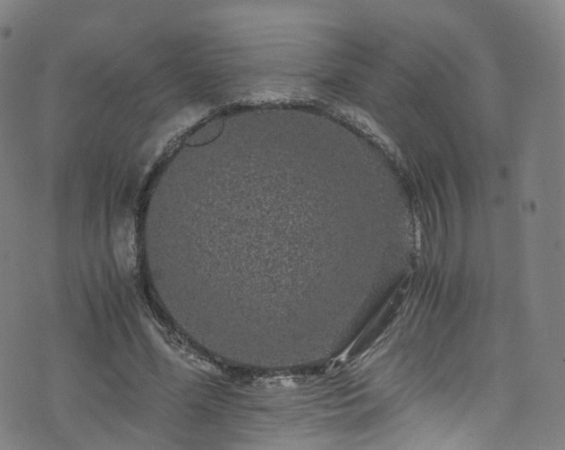 X0000076270588200610051313