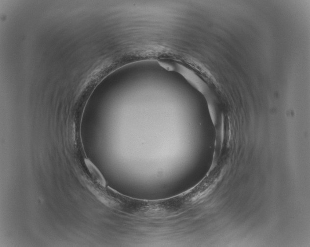 X0000076270589200610051313