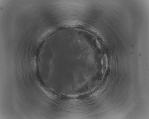 X0000076270590200610051313