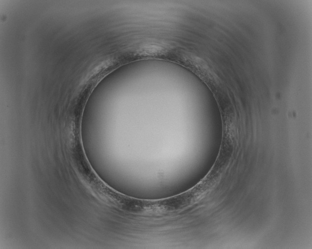 X0000076270591200610051313