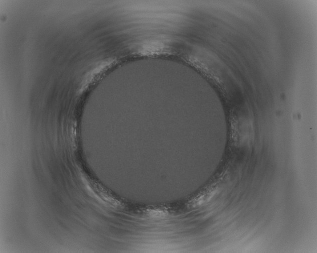 X0000076270592200610051313