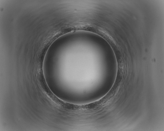 X0000076270593200610051313