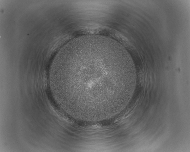 X0000076270594200610051313