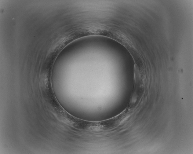 X0000076270595200610051313