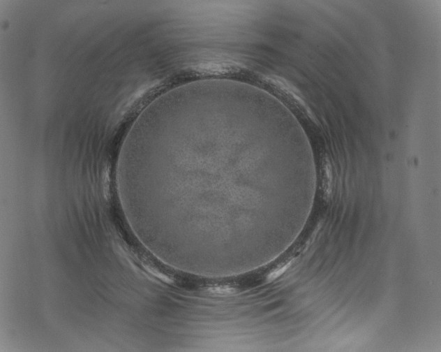 X0000076270596200610051313