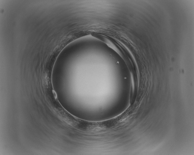 X0000076270597200610051313