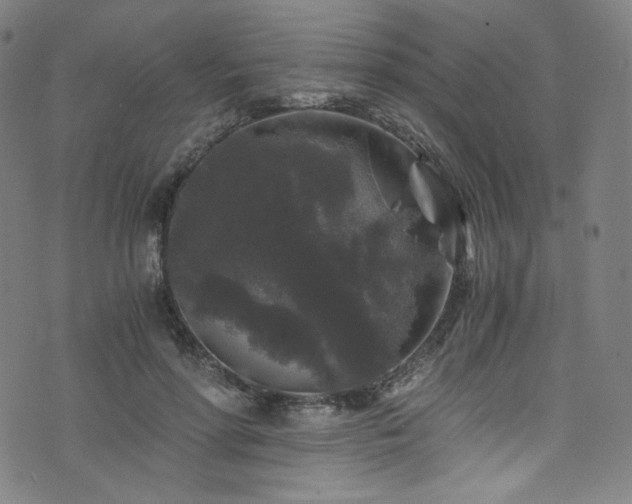 X0000076270598200610051312