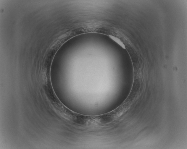 X0000076270599200610051312