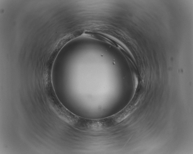 X0000076270600200610051312