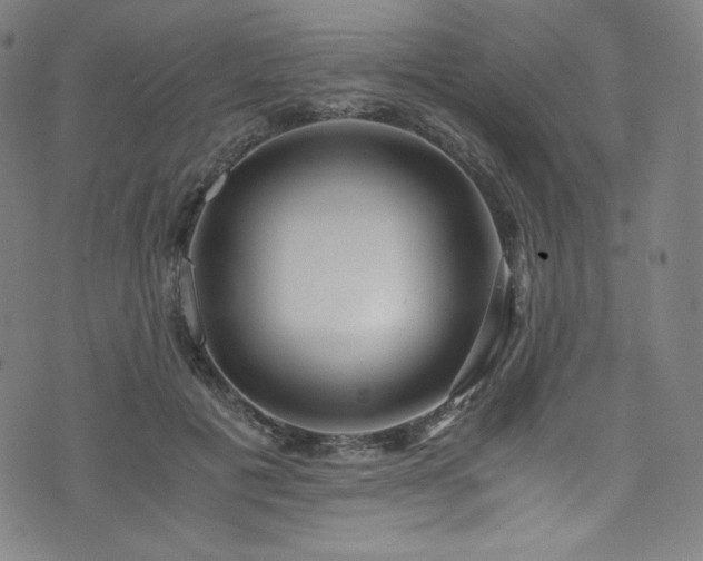 X0000076270601200610051312