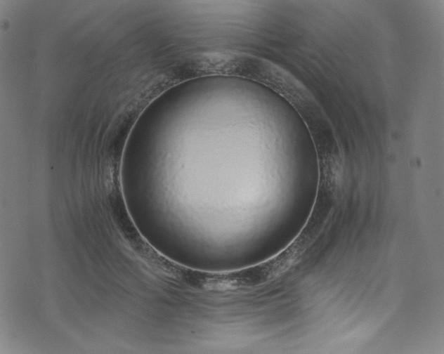 X0000076270602200610051312