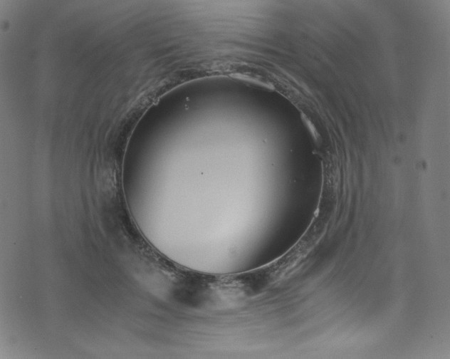 X0000076270603200610051312