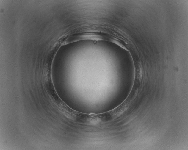 X0000076270604200610051312