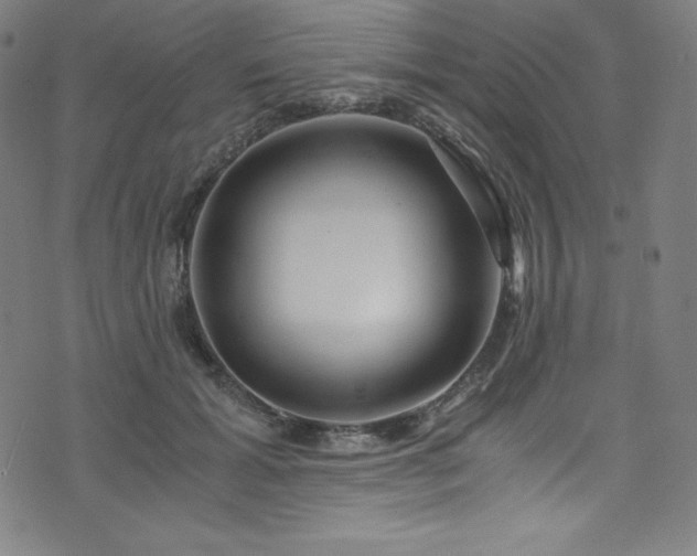 X0000076270605200610051312