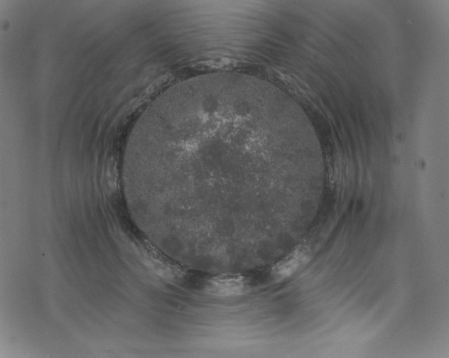 X0000076270606200610051312