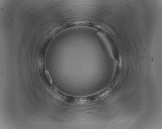 X0000076270607200610051312