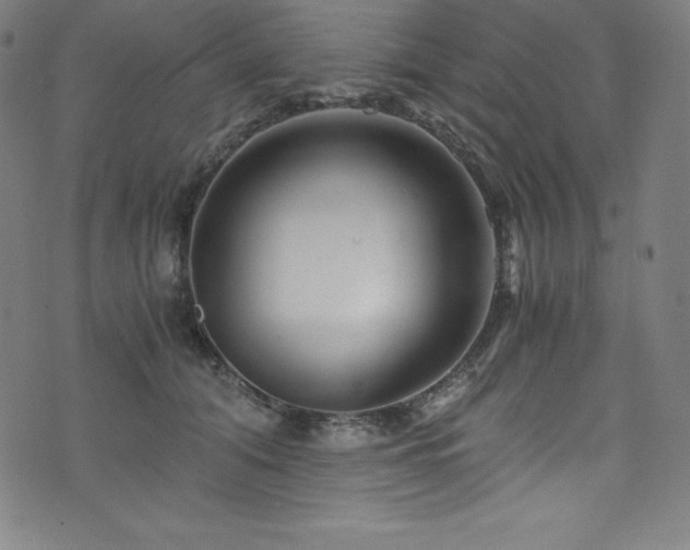 X0000076270608200610051312