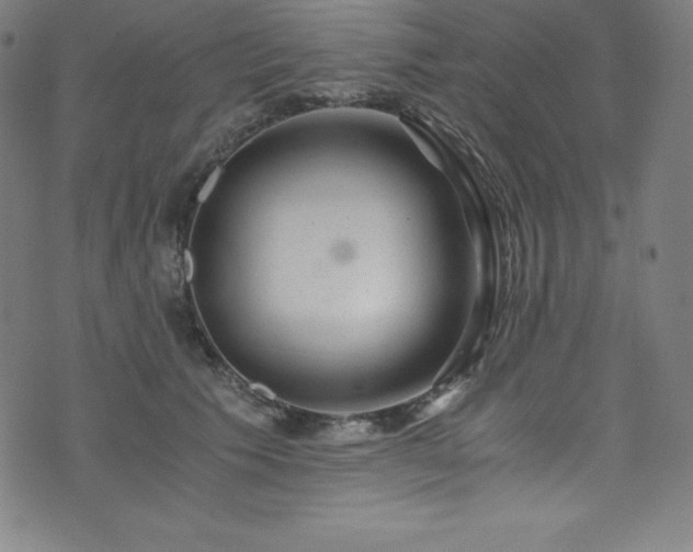 X0000076270609200610051312