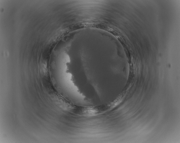 X0000076270610200610051312