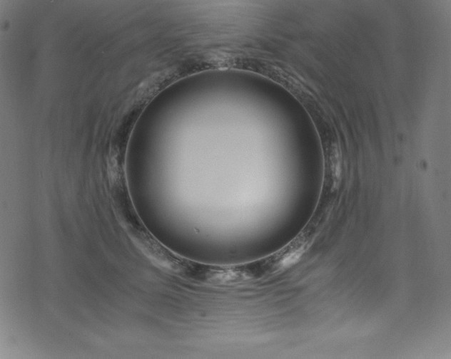 X0000076270611200610051312