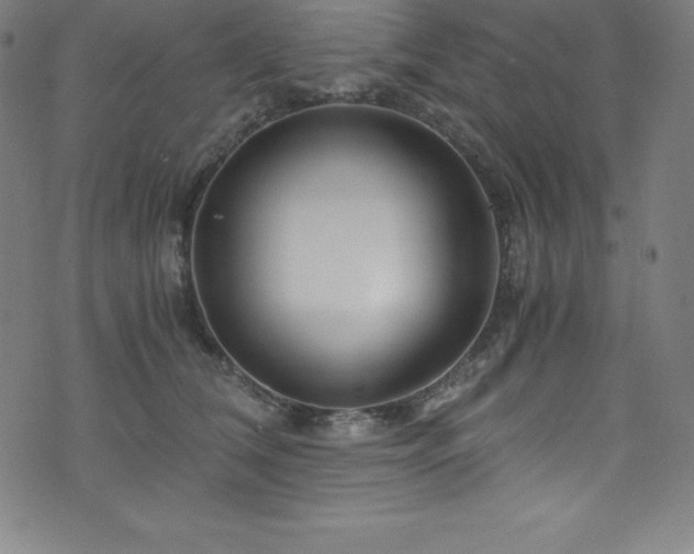 X0000076270612200610051312